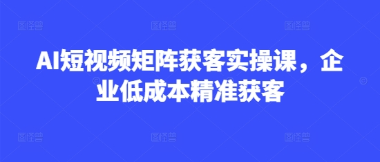 AI短视频矩阵获客实操课，企业低成本精准获客-多金网赚