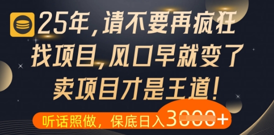 什么？25年你还在疯狂找项目做，醒醒吧，看完这些你全都懂了【揭秘】-多金网赚网