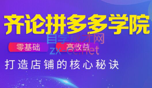 齐论拼多多vip课程-多金网赚网