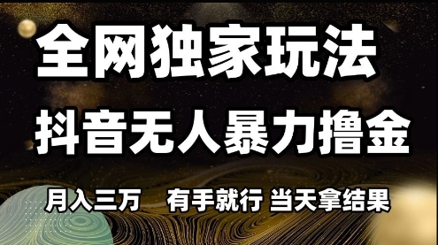 全网独家玩法抖音无人暴力撸金，月入3W，有手就行，当天拿结果【揭秘】-多金网赚