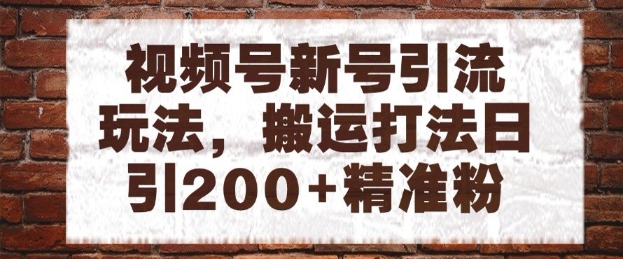 视频号新号引流玩法，搬运打法日引200+精准粉，可矩阵放大【揭秘】-多金网赚