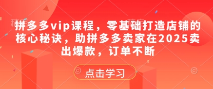 拼多多vip课程，零基础打造店铺的核心秘诀，助拼多多卖家在2025卖出爆款，订单不断-多金网赚网