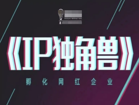 IP独角兽，孵化网红企业，ip教程-多金网赚网