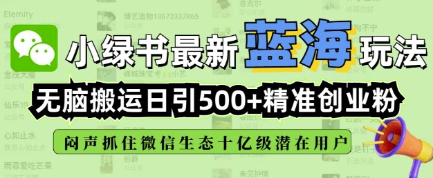 小绿书无脑搬运引流，全自动日引500精准创业粉，微信生态内又一个闷声发财的机会-多金网赚