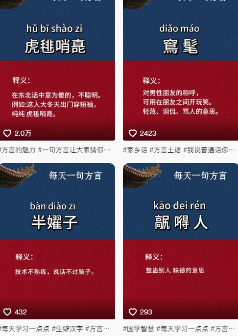 抖音最新涨粉玩法，图文方言暴力涨粉实操，126作品涨粉11W-多金网赚