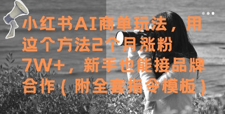 小红书AI商单玩法，用这个方法2个月涨粉7W+，新手也能接品牌合作(附全套指令模板)-多金网赚