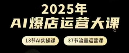 2025年AI爆店运营大课，13节AI实操课+37节流量运营课-多金网赚网