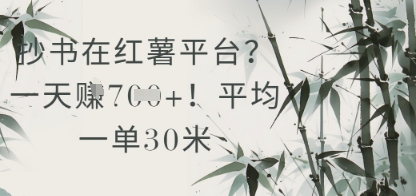 抄书在小红薯平台？平均一单30米，一天收益几张！-多金网赚
