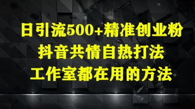 日引流500+精准创业粉，抖音共情自热打法，工作室都在用的方法-多金网赚网
