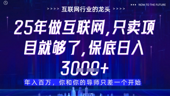 什么！25年你还在找项目做？风口早就变了，卖项目才是稳挣不赔【揭秘】-多金网赚网