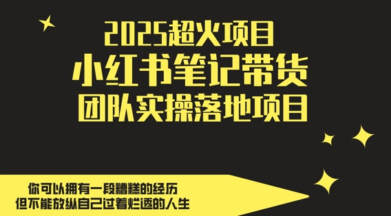 2025超火项目，副业最佳选择，小红书笔记带货团队实操落地项目，，轻松日入5张-多金网赚网