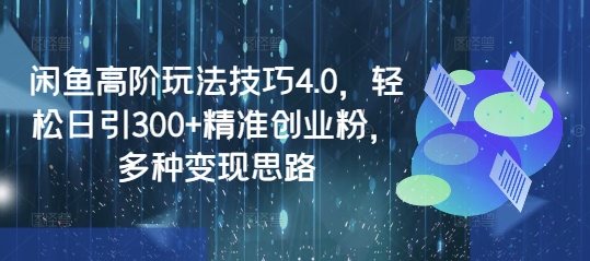 闲鱼高阶玩法技巧4.0，轻松日引300+精准创业粉，多种变现思路-多金网赚