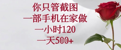 你只管截图，一部手机在家做，苹果安卓都可以，一小时120，一天5张+【揭秘】-多金网赚网