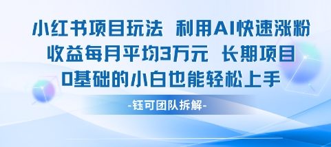 适合小白操作的小红书新项目，利用AI快速涨粉，收益每月平均1W+-多金网赚