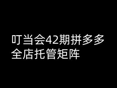 叮当会拼多多打爆班原创高阶技术第42期，拼多多全店托管矩阵-多金网赚