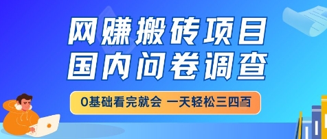 网创搬砖项目，国内问卷调查，小白轻松上手，一天三四张的也不难，干就完了【揭秘】-多金网赚