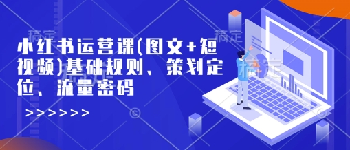 小红书运营课(图文+短视频)基础规则、策划定位、流量密码-多金网赚