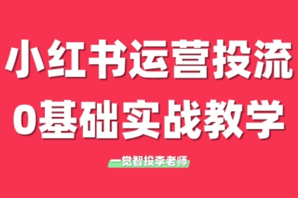 李老师·小红书运营投流，0基础实战教学(更新)-多金网赚