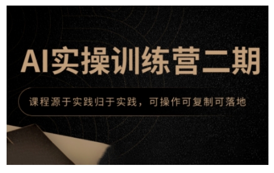 AI实操训练营二期，课程源于实践归于实践，可操作可复制可落地-多金网赚