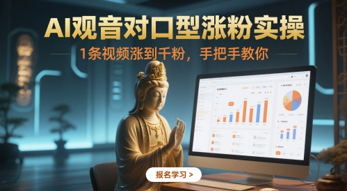 AI观音对口型涨粉实操，1条视频涨到千粉，手把手教你-多金网赚
