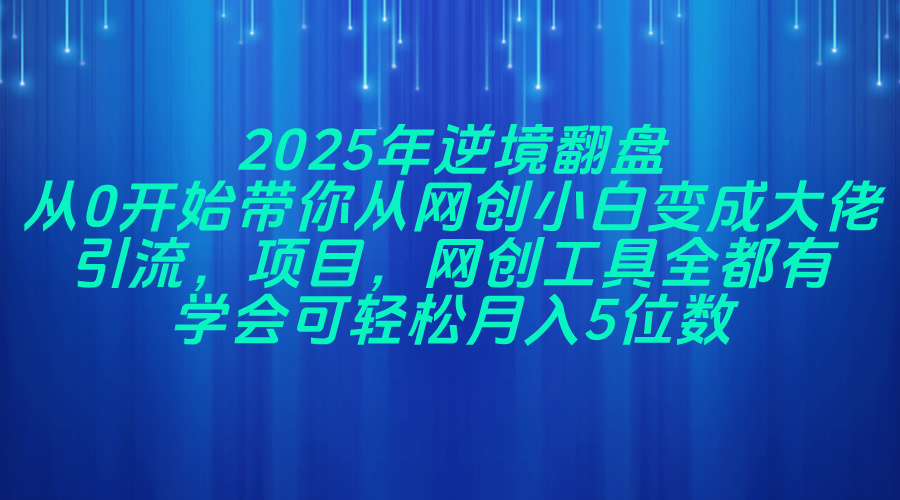 2025年逆境翻盘，从0开始带你从网创小白变成大佬，引流，项目，网创工…-多金网赚网