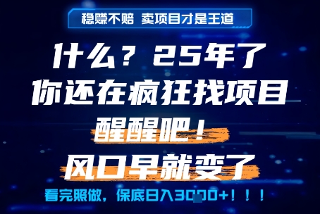 什么？25年你还在疯狂找项目做，醒醒吧，看完这些你全都懂了！【揭秘】-多金网赚