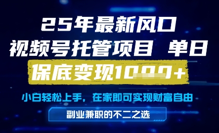 25年最新风口，视频号托管项目，单日保底变现1k+，手把手教学【揭秘】-多金网赚