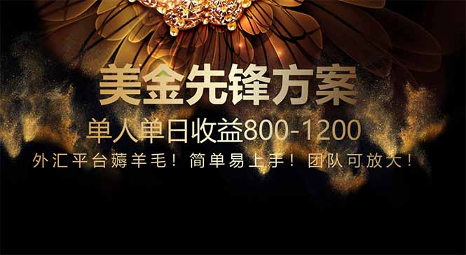 免费技术！小众赛道！一年布局抵三年努力，每日800+-多金网赚网