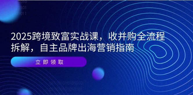 2025跨境致富实战课，收并购全流程拆解，自主品牌出海营销指南-多金网赚