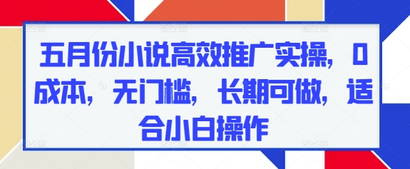 五月份小说高效推广实操，0成本，无门槛，长期可做，适合小白操作-多金网赚网