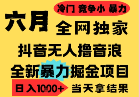 25年6月高爆抖音无人直播最新撸音浪掘金项目，小白可做，无脑日入1k+，门槛低可批量矩阵【揭秘】-多金网赚