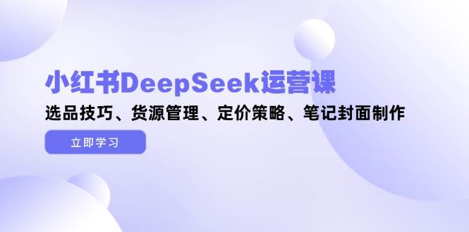 小红书DeepSeek运营课，选品技巧、货源管理、定价策略、笔记封面制作-多金网赚网