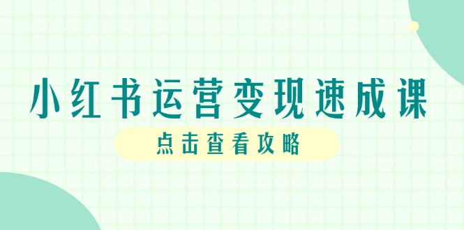小红书运营变现速成课，账号搭建到暴力起号，个人IP全流程指南-多金网赚