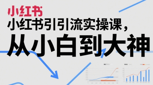 小红书引流实操课，从小白到大神-多金网赚