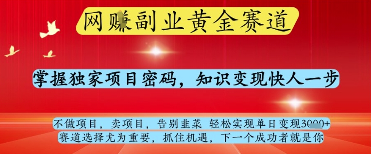 网创副业黄全赛道，掌握独家项目密码，知识变现快人一步，告别韭菜轻松实现单日变现1k+【揭秘】-多金网赚