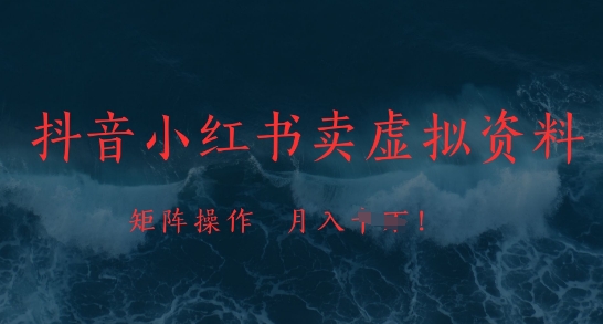 抖音小红书卖虚拟资料，市场需求一直存在，矩阵操作，月入1w+-多金网赚网