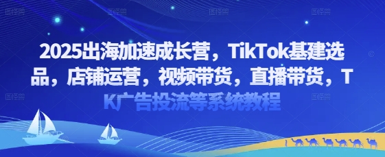 2025出海加速成长营，TikTok基建选品，店铺运营，视频带货，直播带货，TK广告投流等系统教程-多金网赚