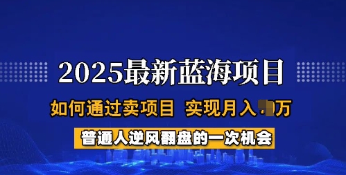 2025蓝海项目，普通人如何通过卖项目，实现月入过W，全过程【揭秘】-多金网赚