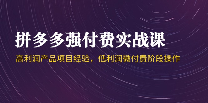 拼多多强付费实战课-44期，高利润产品项目经验，低利润微付费阶段操作-多金网赚
