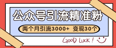 公众号精准粉引流玩法，2个月3000+精准粉，变现30个W【揭秘】-多金网赚