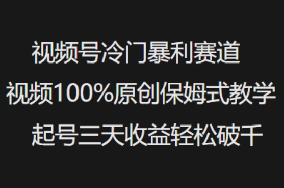 视频号冷门暴利赛道视频100%原创保姆式教学起号三天收益轻松破千-多金网赚