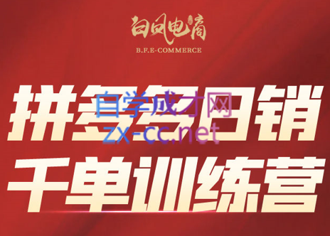 白凤电商·拼多多日销千单训练营(更新5月)-多金网赚网