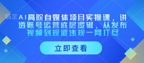 AI高阶自媒体项目实操课，讲透账号运营底层逻辑，从发布视频到规避违规一网打尽-多金网赚