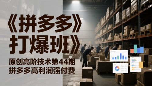 《拼多多打爆班》原创高阶技术第44期，拼多多高利润强付费-多金网赚
