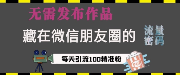 藏在微信朋友圈的流量密码，无需发布作品，单日引流100+精准创业粉【揭秘】-多金网赚网