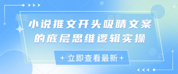 小说推文开头吸睛文案的底层思维逻辑实操-多金网赚