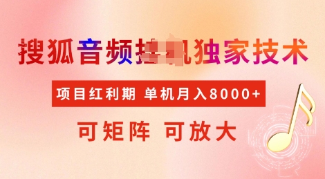 全网首发搜狐音频挂JI独家技术，项目红利期，可矩阵可放大，稳定月入8k【揭秘】-多金网赚