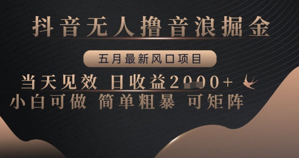 抖音无人撸音浪掘金，五月最新风口项目，当天见效，日收益多张，小白可做简单粗暴可矩阵【揭秘】-多金网赚网