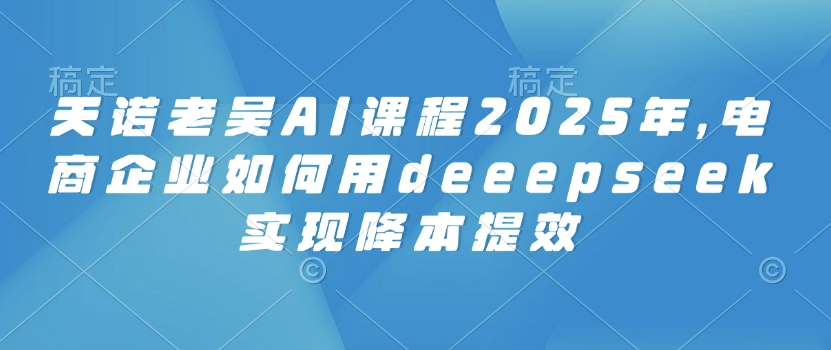 天诺老吴AI课程2025年，电商企业如何用deeepseek实现降本提效-多金网赚