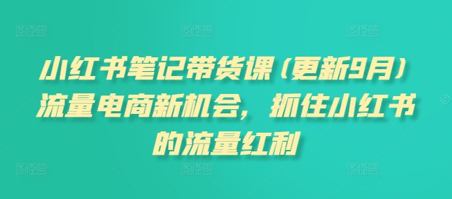 小红书笔记带货课(更新25年4月)流量电商新机会，抓住小红书的流量红利-多金网赚网